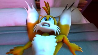 ���నిల్లా VS తోకలు